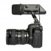 Stereo Videomic